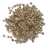 Corianderseeds